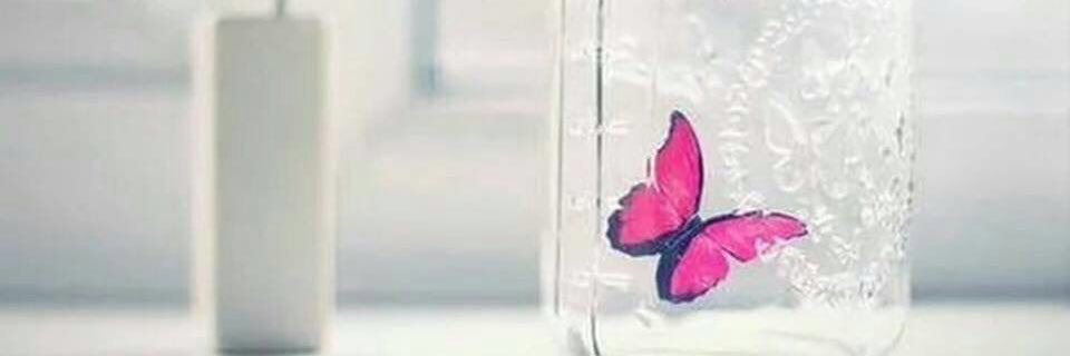 mohebba's profile banner image