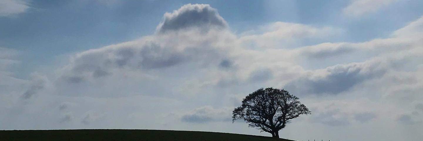 CurranAnn's profile banner image