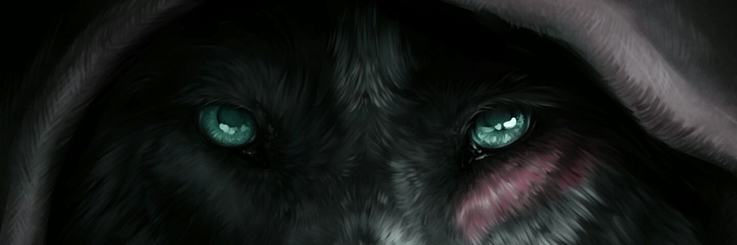 RichardHalley6's profile banner image