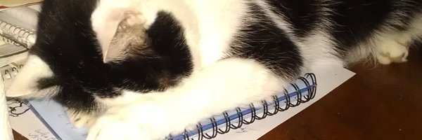 pemonade Profile Banner