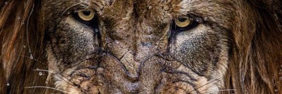 markhall8's profile banner image