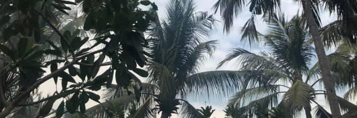 eilsmacdonald's profile banner image