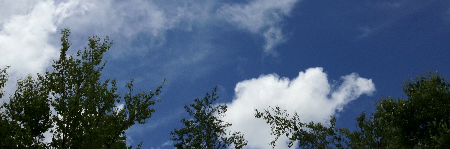 ayumin914's profile banner image