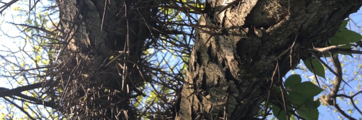 m_cogs23's profile banner image