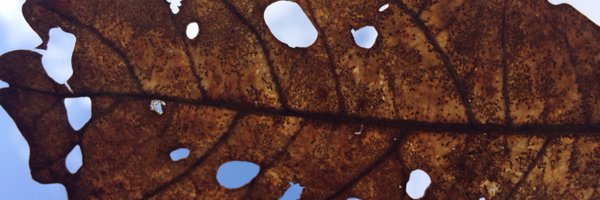 jimlaheySSB Profile Banner