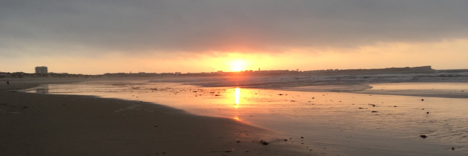 pornosaur's profile banner image