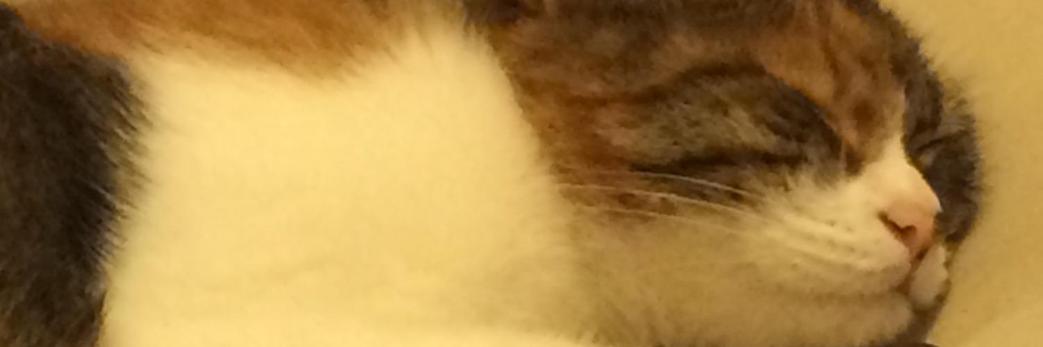ecegoez's profile banner image