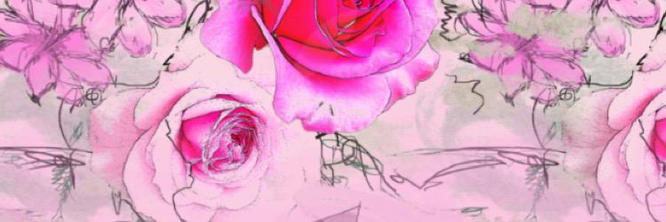 AmyBethBaker's profile banner image