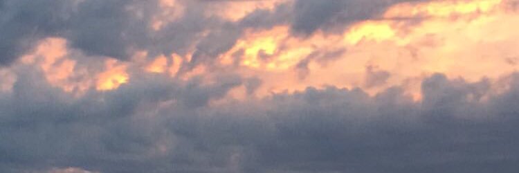 CourtneyyFarrow's profile banner image