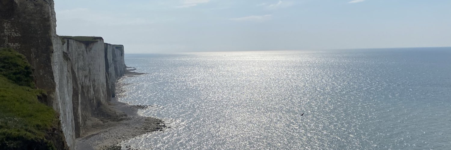 Fausto Rotelli banner