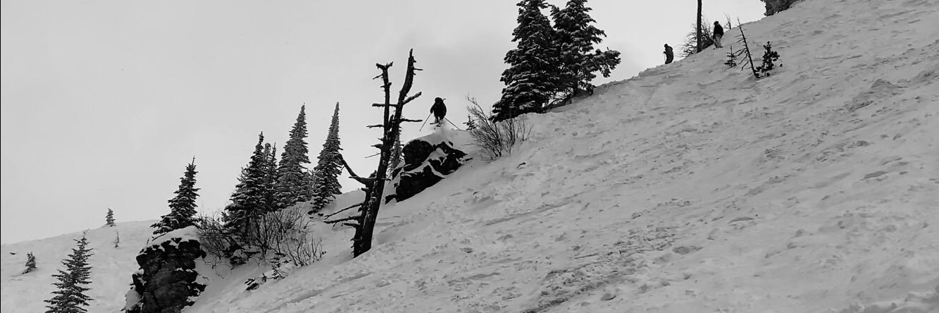 ColieFleming's profile banner image