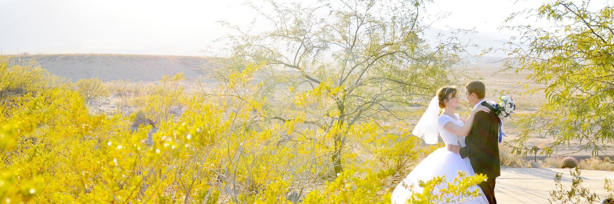 momma_crock's profile banner image