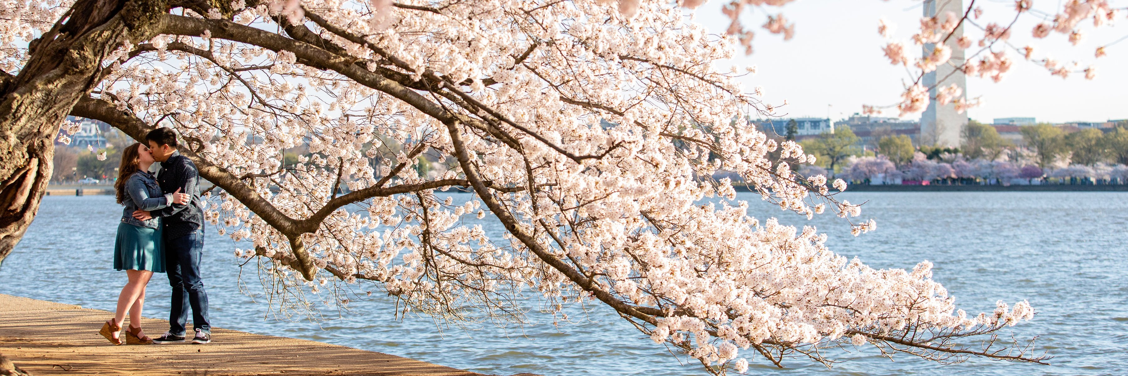 kmok46464's profile banner image