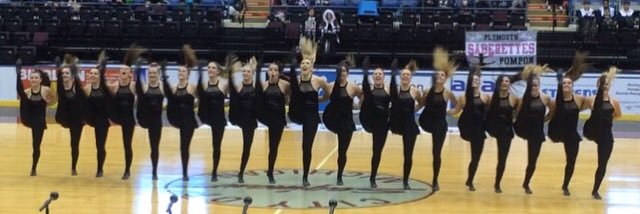 SVSUPompon's profile banner image