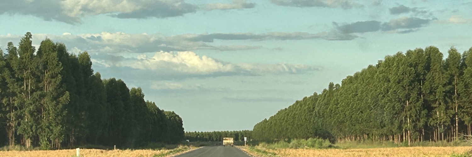 daydreamlines's profile banner image
