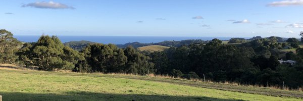 NickBisley Profile Banner