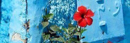 Aurora Gagara banner