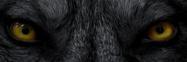 nachomtk's profile banner image