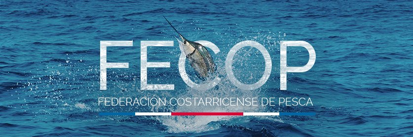 pescaparafuturo's profile banner image