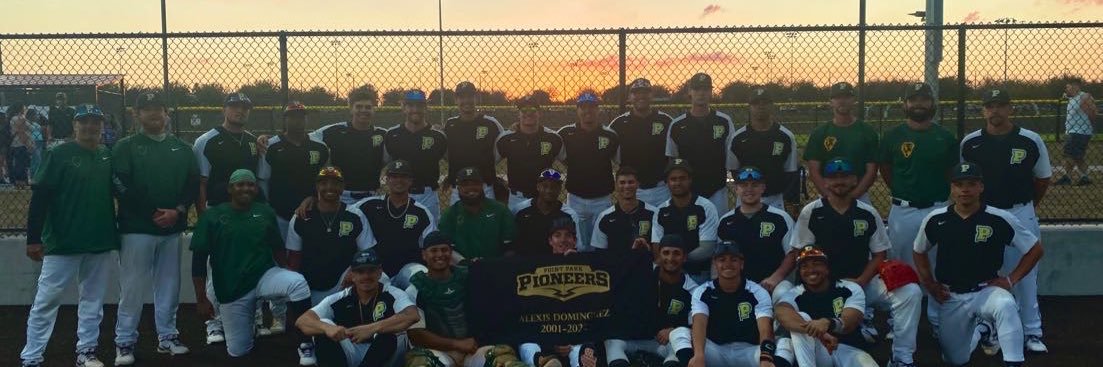 Point Park Baseball banner