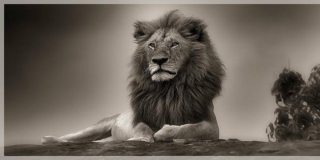 johanhaile7's profile banner image