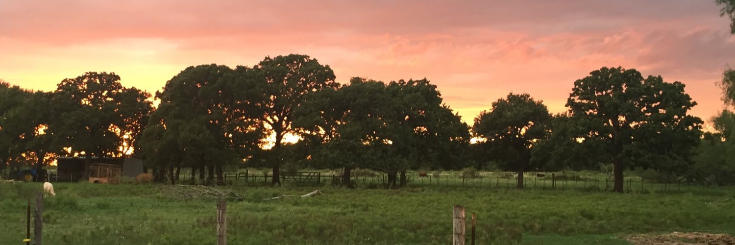 KariEspin's profile banner image