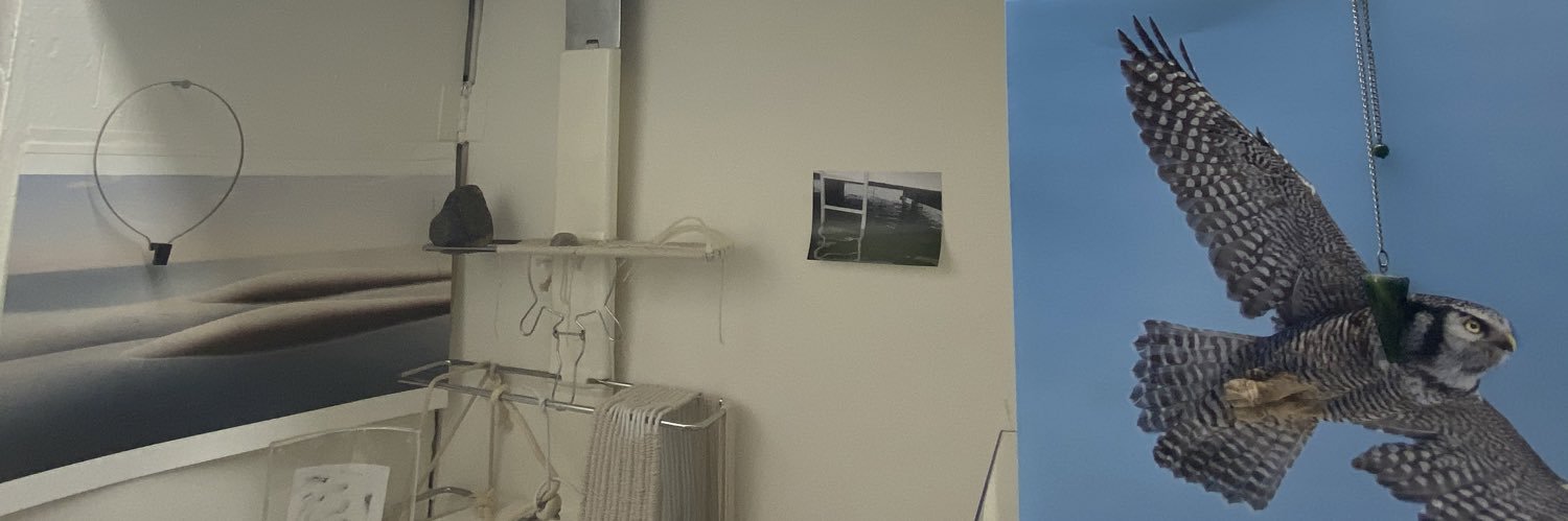 skymall98's profile banner image