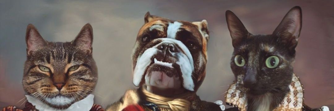 veroofcourse's profile banner image