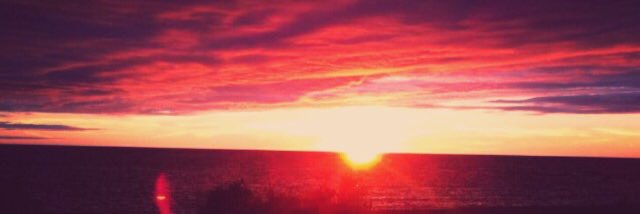 francesimile's profile banner image