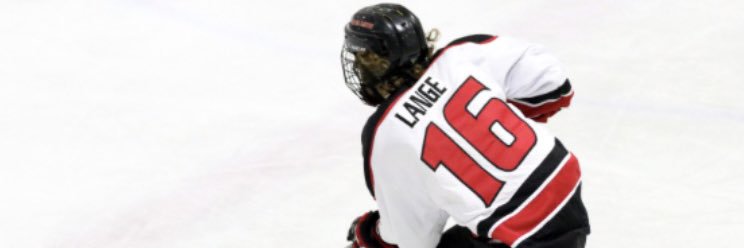 brian lange banner