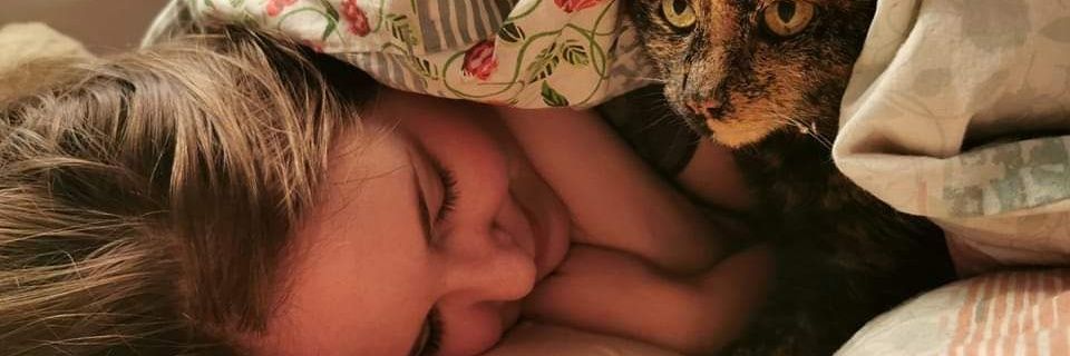 HBrookePhoenix's profile banner image