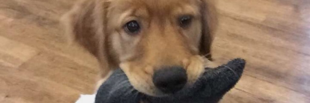meggmurph's profile banner image