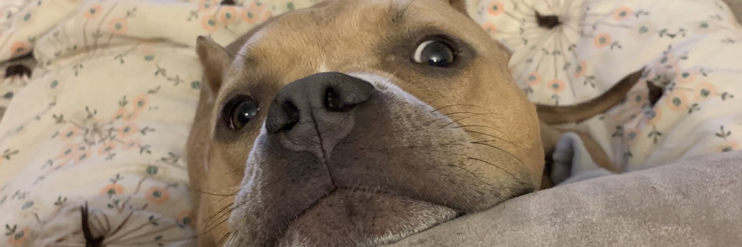 milesschild's profile banner image
