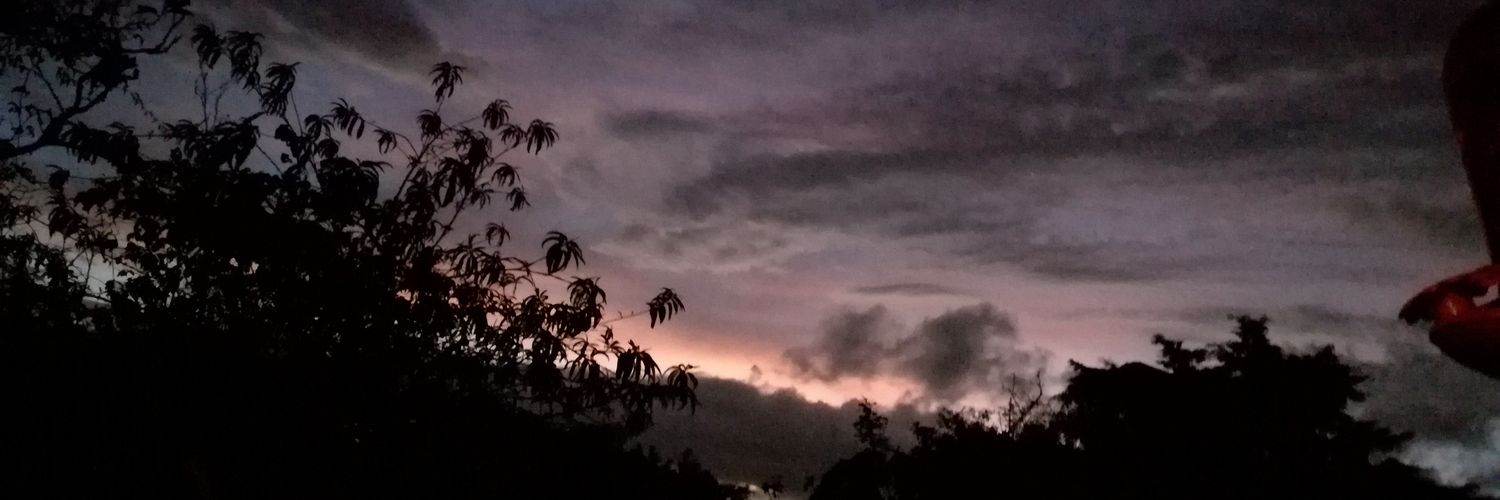 MimiCastell's profile banner image
