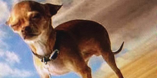 Chances_R_High's profile banner image