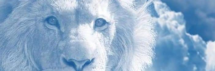 LUZDEYANIRA's profile banner image