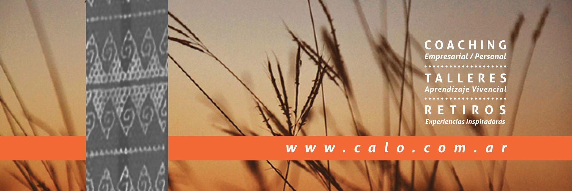 AlbertoFCalo's profile banner image