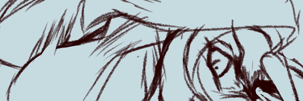 SolidSparkle117's profile banner image