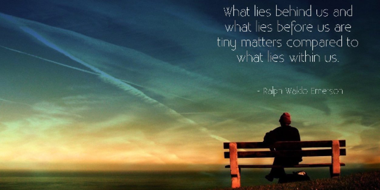 Lisa Dondlinger banner