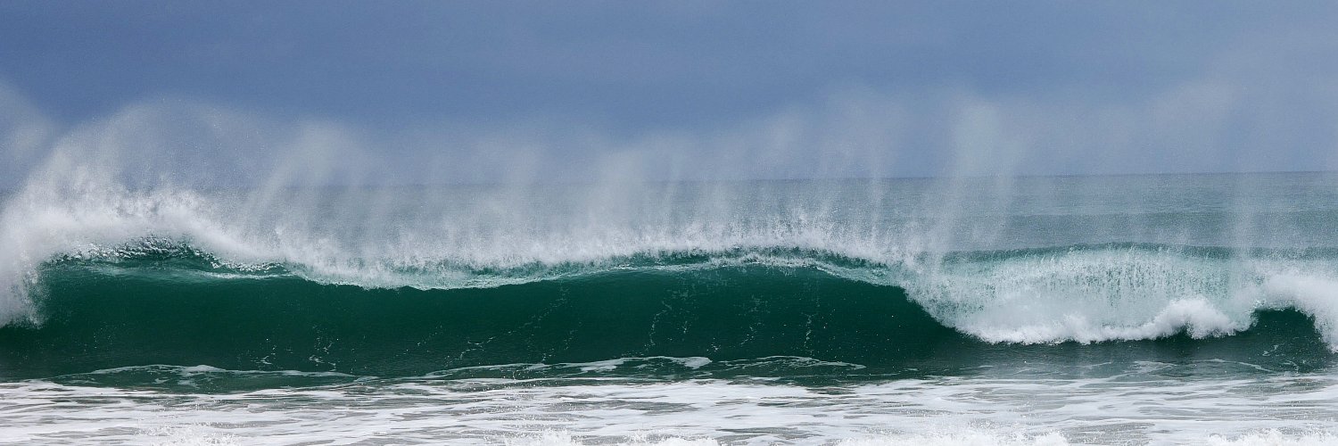 tracey depellegrin banner