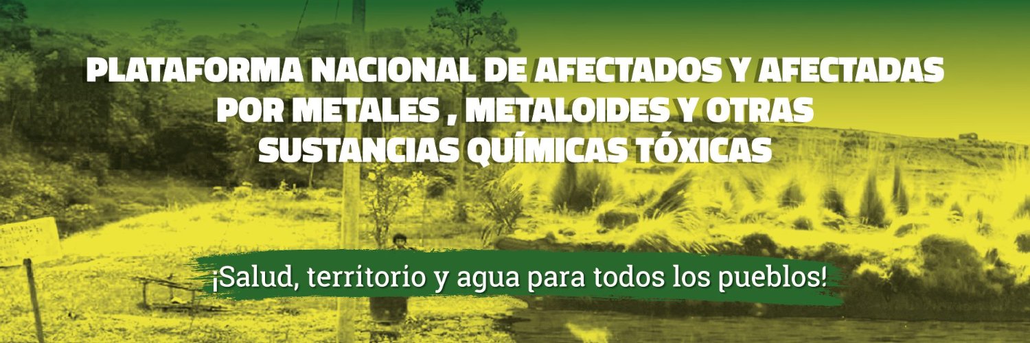 Plataforma Nacional de Afectados x Metales Tóxicos banner