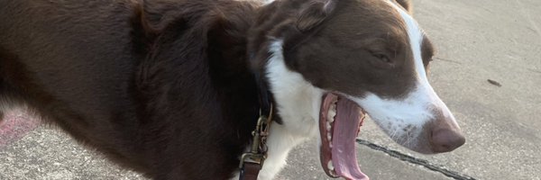 morgan_foreman Profile Banner
