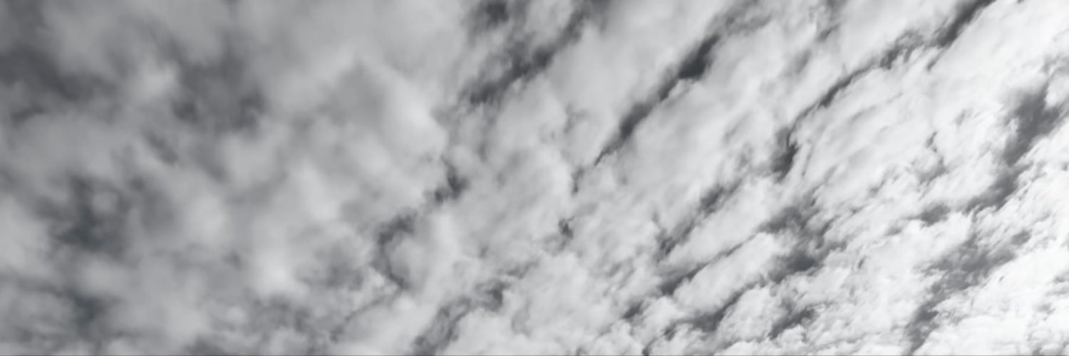 dcollens's profile banner image