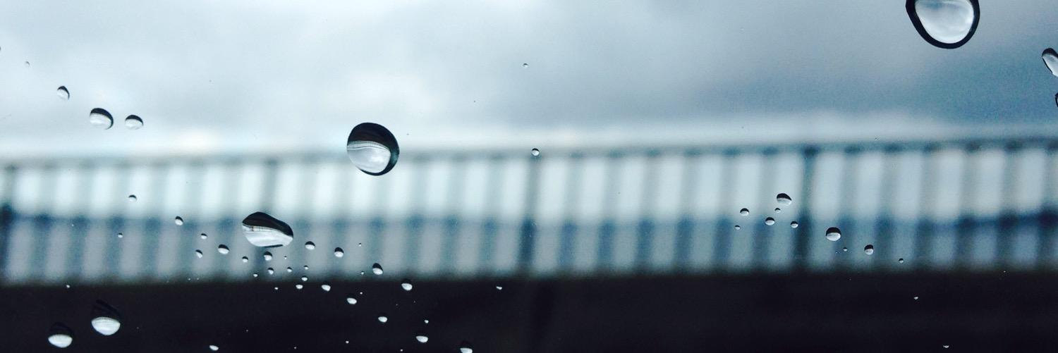 Susie_juls's profile banner image