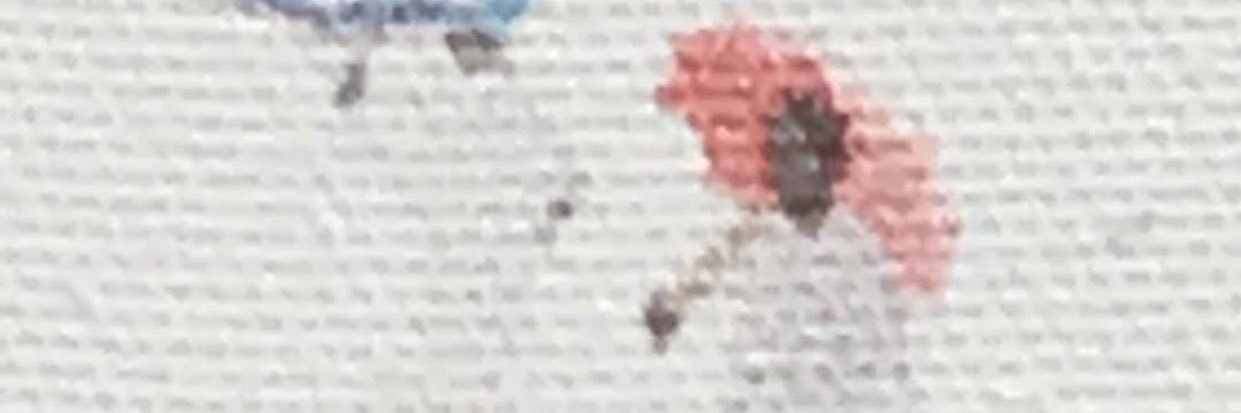 Toni Maxfield banner
