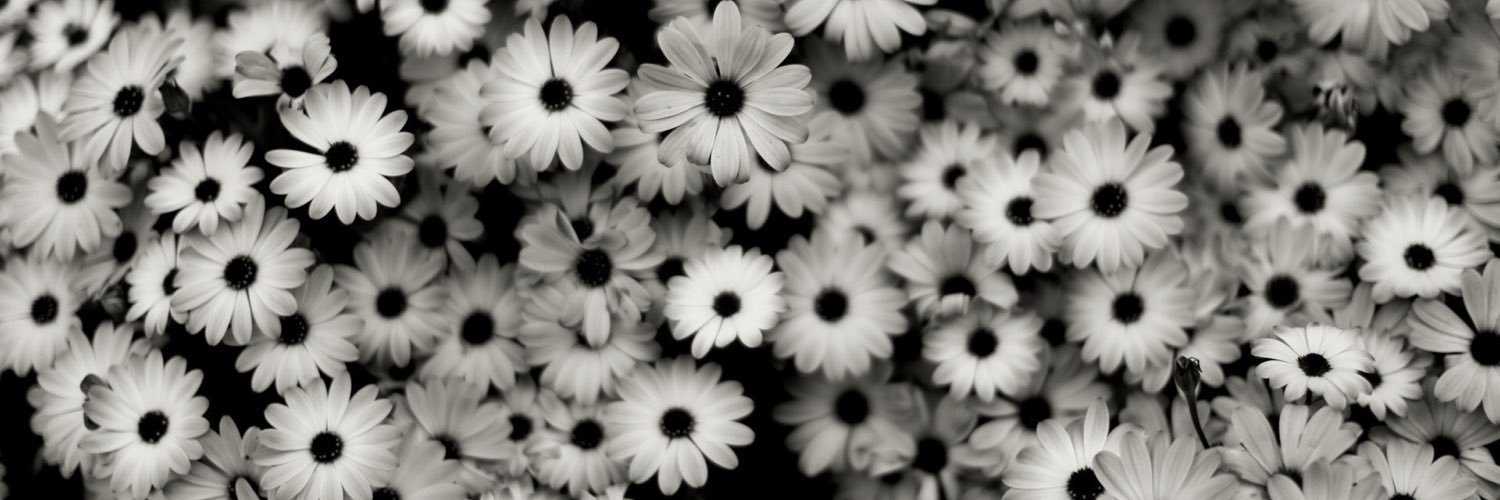 mariahrosebell's profile banner image