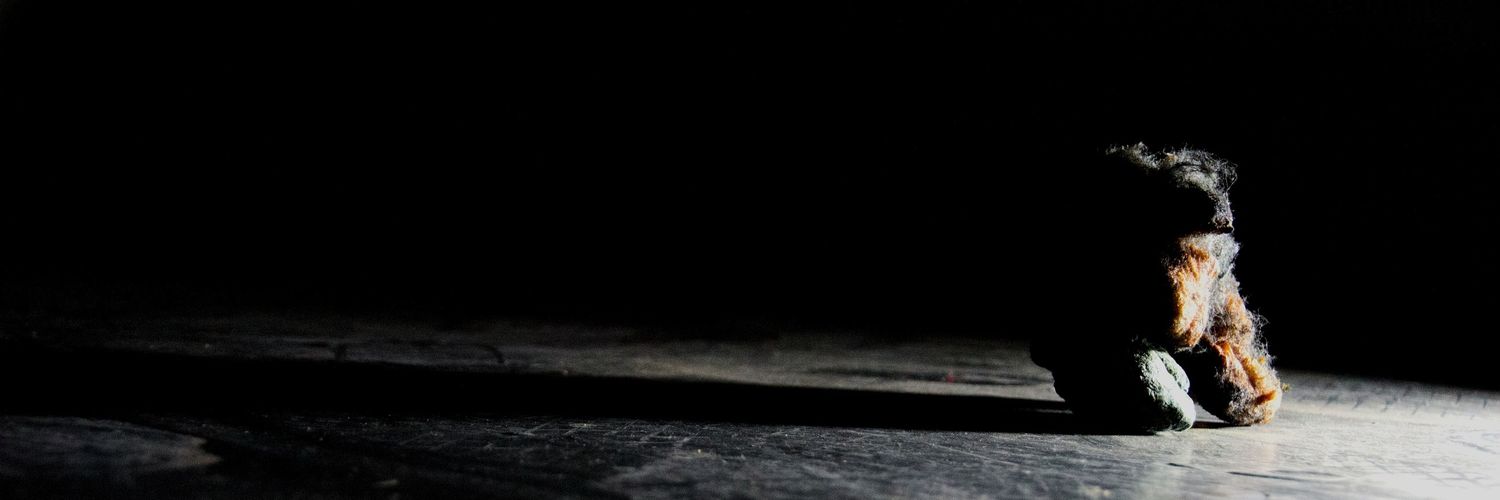 hotnothayley's profile banner image