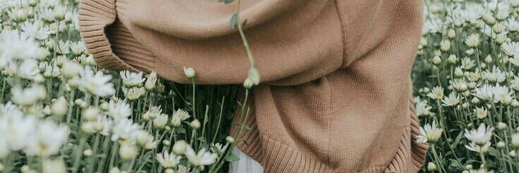 anelastia's profile banner image