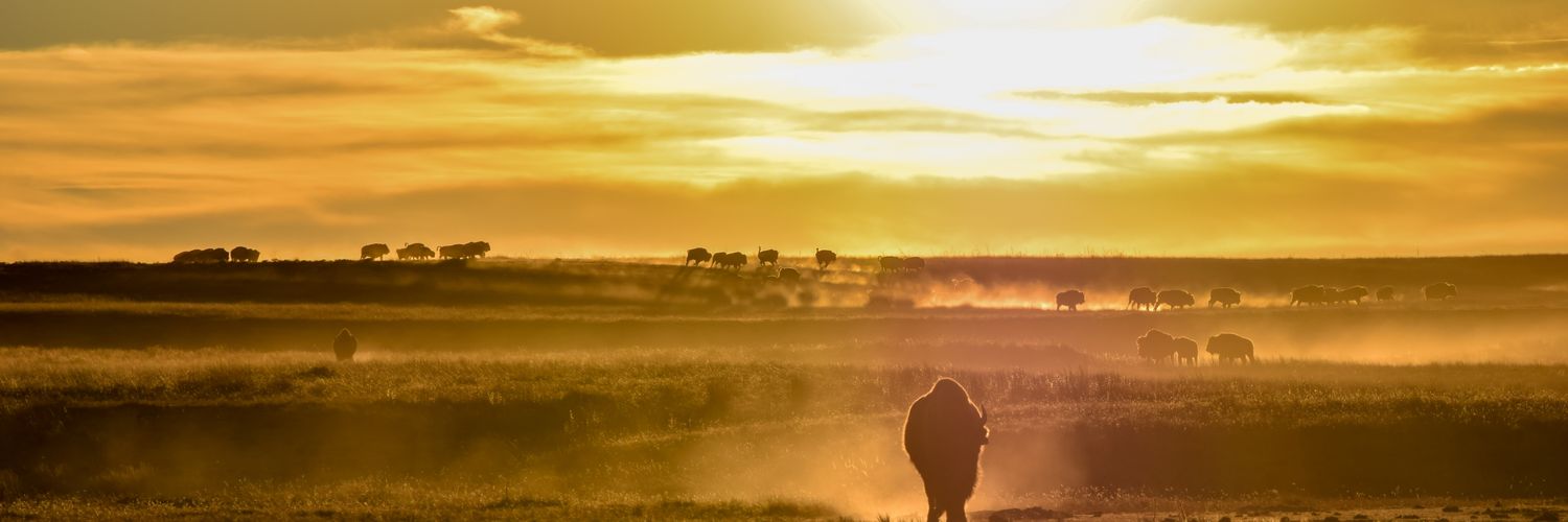 JustinRoemer1's profile banner image