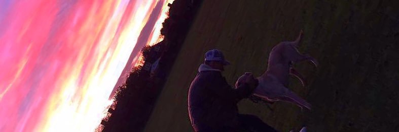 RoryTheLedge's profile banner image